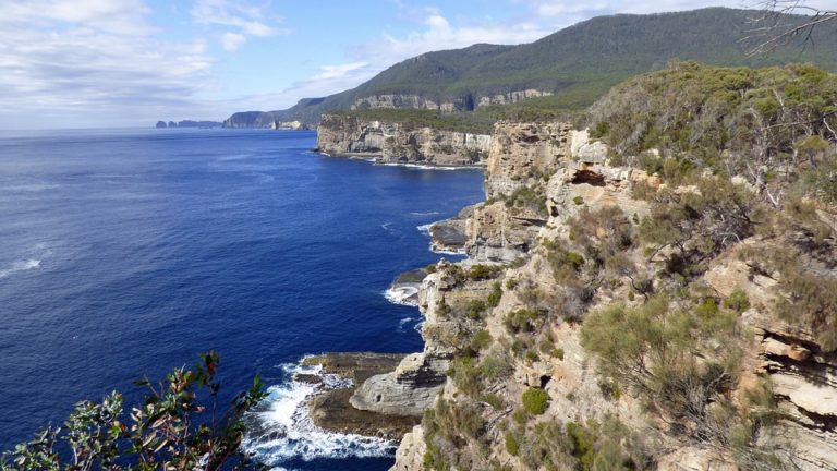 Tasmania nominated the highest number of 489
