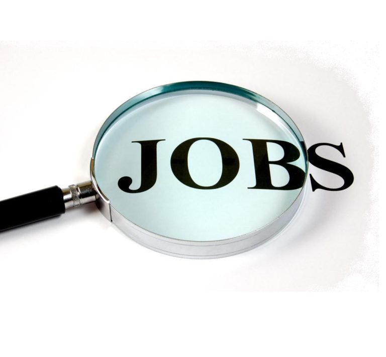 Cheaper courses won't help graduates get jobs – they need good careers advice and links with employers - NepaliPage