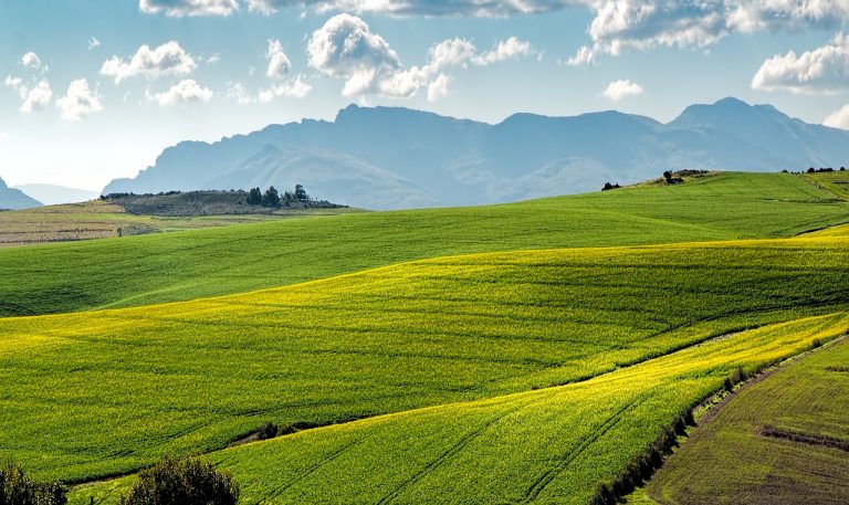 Farm work in Australia, another option for students, temporary visa holders - NepaliPage