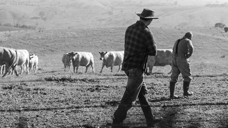 An Ultimate Guide to Australian Farm Jobs with Harvesting Season for job seekers - NepaliPage