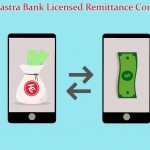 Nepal Rastra Bank Licensed Remittance Companies in Nepal - NepaliPage