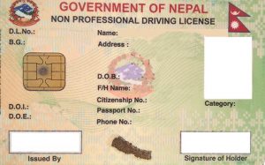 What is the procedure for applying for a Nepalese driving license online - NepaliPage