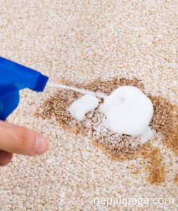 What You Should Look For When Choosing a Carpet Cleaner in Australia - NepaliPage