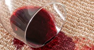 What You Should Look For When Choosing a Carpet Cleaner in Australia - NepaliPage